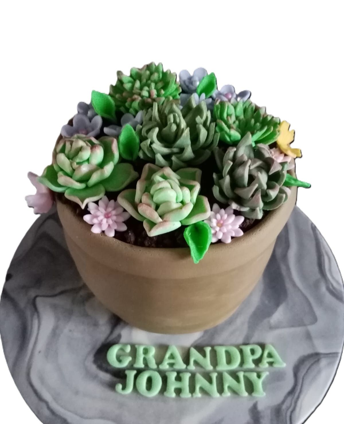 Succulent Potted Plants Cake